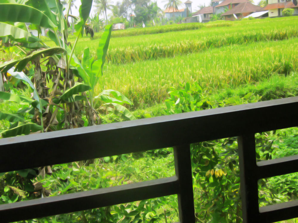 Oyo 1946 Terrace Campuhan Ubud  Exterior photo